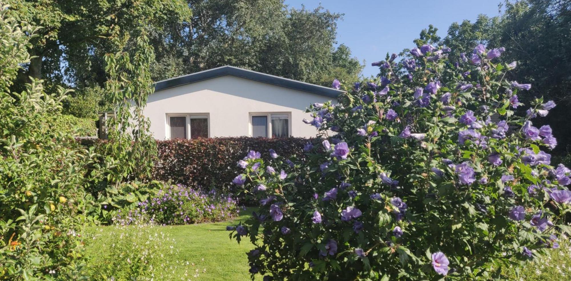 Vakantiebungalow Texel De Cocksdorp  Exterior foto